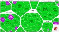 Chứng khoán chốt phiên cuối tuần tăng điểm dù dòng tiền mất hút