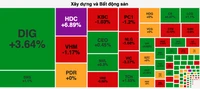 VN-Index thu hẹp đà giảm cuối phiên, bất chấp khối ngoại bán ròng hơn 1.300 tỷ đồng