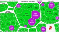 Chứng khoán tăng vọt lên 1.270 điểm