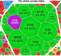 “Cổ phiếu vua” trở lại, thị trường tăng dựng đứng dù sát Tết