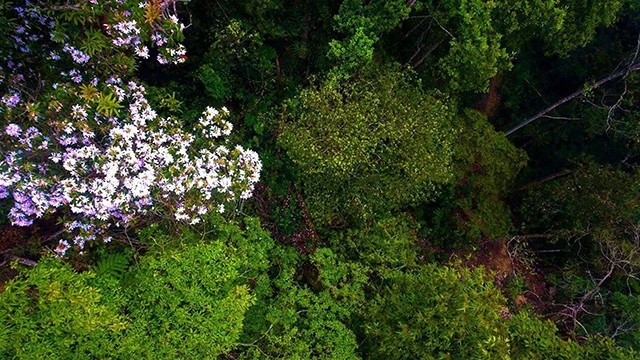  Bất ngờ trên “cổng trời” Arung 