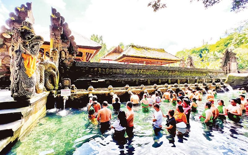  Sống chậm ở Ubud 