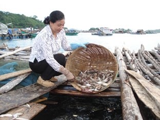  Kiên Giang triển khai thực hiện chiến lược biển 