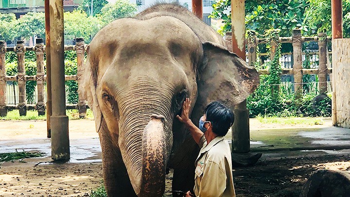  Yêu thương ở sở thú 