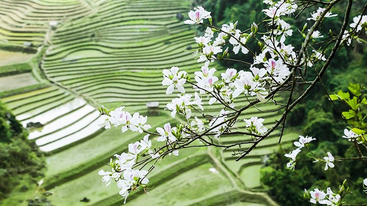  Năm Du lịch quốc gia Điện Biên 