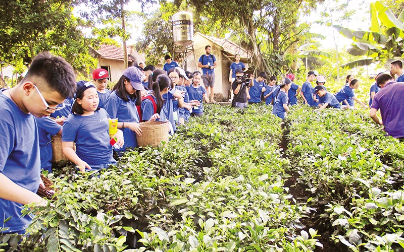  Mô hình gợi mở đầy tâm huyết 