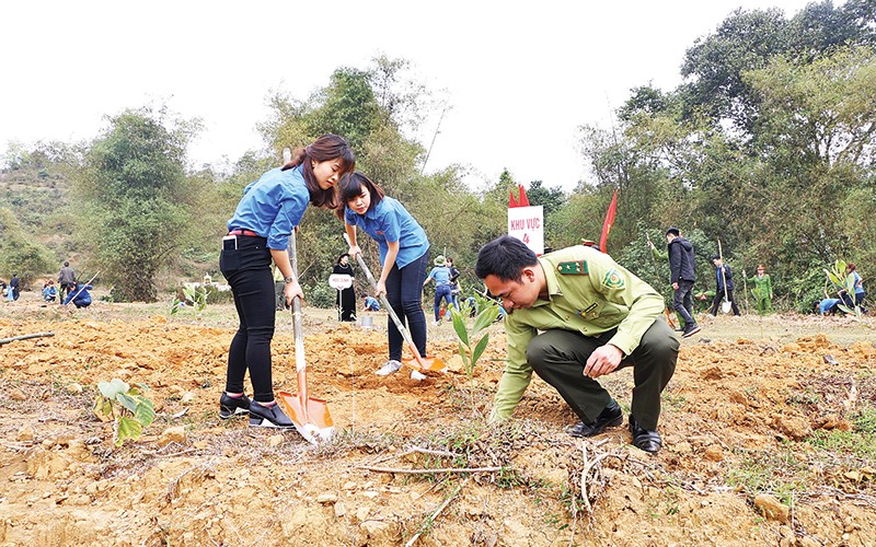  Chung tay Vì một Việt Nam xanh 