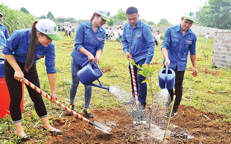  Trồng cây gây rừng & mục tiêu một tỷ cây xanh 