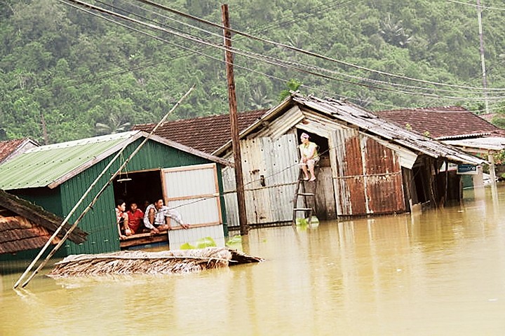  Các bạn tin, chúng tôi tin 