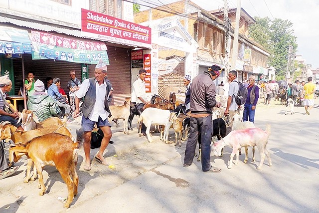  Tết Dashain ở Nepal 