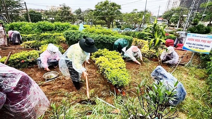  Sắc xuân từ bàn tay người ở đảo 