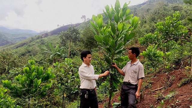  Có nên làm kiểu phong trào? 