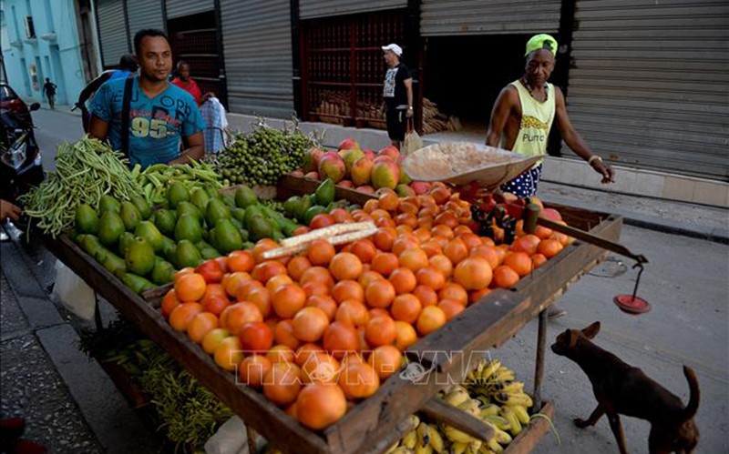  Cuba công bố chương trình quốc gia về an ninh lương thực 