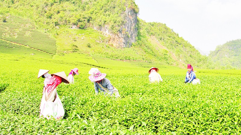  Gây dựng lòng tin để phát triển thương hiệu 