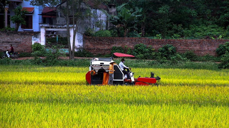  Lục Nam tăng tốc về đích trong xây dựng nông thôn mới 