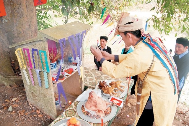  Đầu xuân mở hội "song nam" 