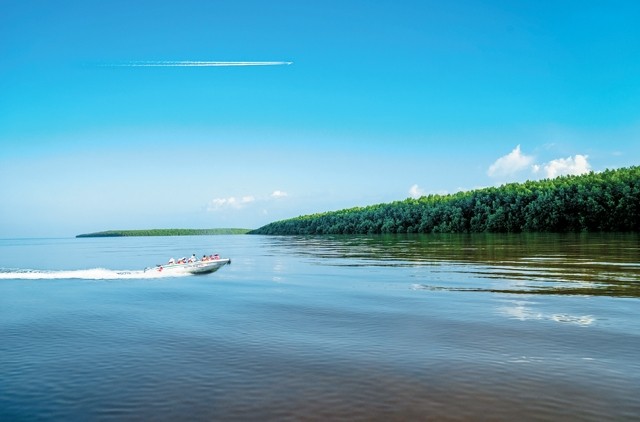  Giỡn chơi với sóng 