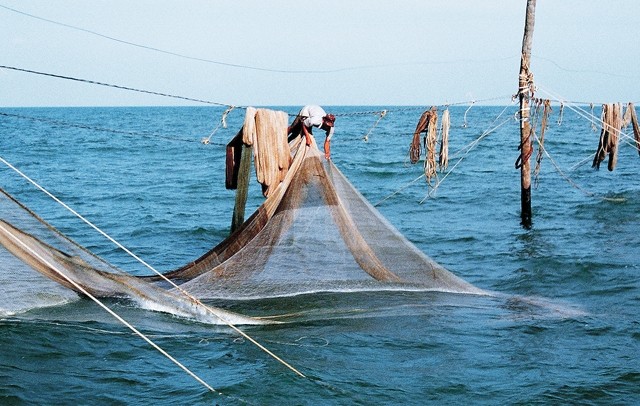  Cuối năm, mùa đáy 