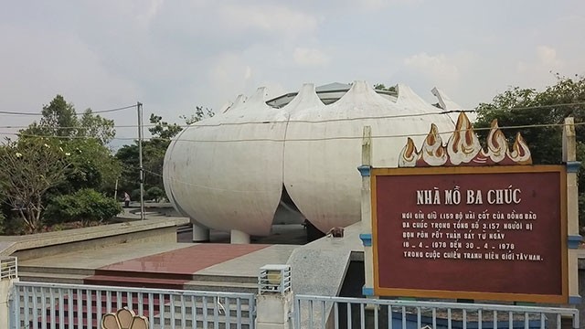  Mầm xanh mới sau những đau thương 