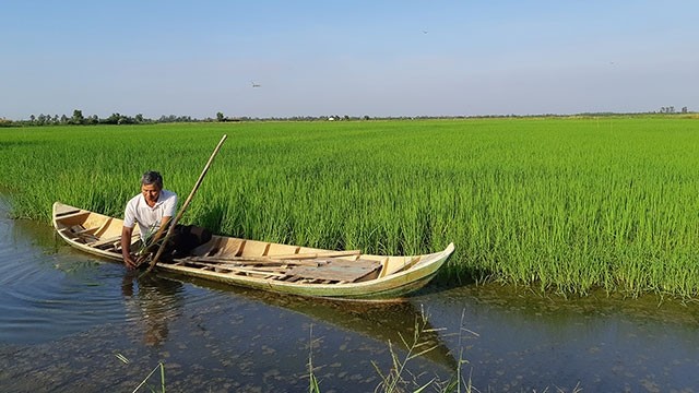  Đầu tư cho thủy lợi vùng đồng bằng sông Cửu Long 