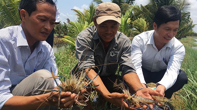  Đầu tư cho thủy lợi vùng đồng bằng sông Cửu Long 