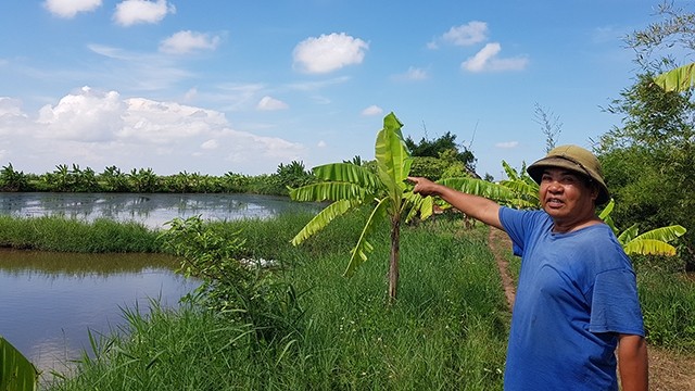  Thống kê thiệt hại sai, người dân ở Thái Bình mòn mỏi đợi hỗ trợ thiên tai 