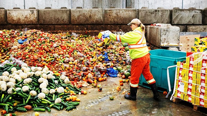  “Cuộc chiến” chống lãng phí thực phẩm 