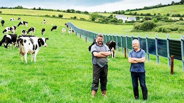  Ireland đổi mới ngành chăn nuôi 