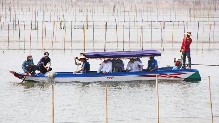  Khai thác thế mạnh du lịch đầm phá 