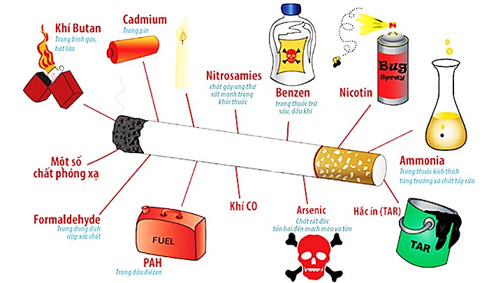  Hiểm họa từ thuốc lá 