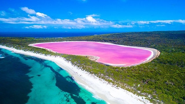  Khôi phục mầu hồng của hồ Pink Lake 