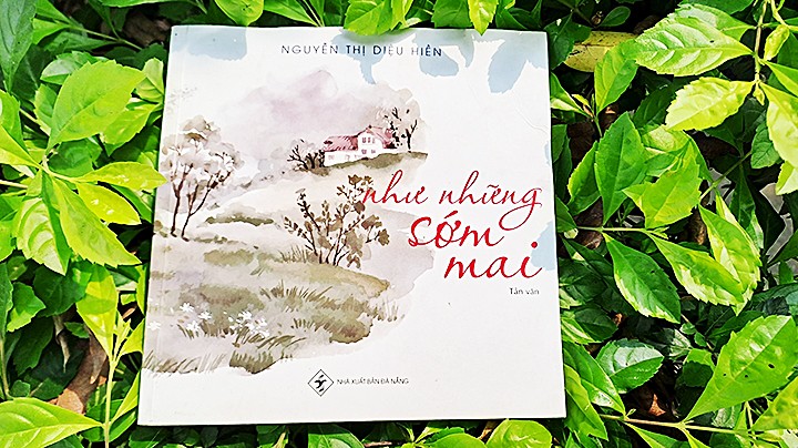  Sớm mai trổ đóa tâm hồn 