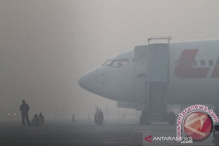  Indonesia: Ô nhiễm khói mù tại Kalimantan tới mức "nguy hiểm" với sức khỏe con người 