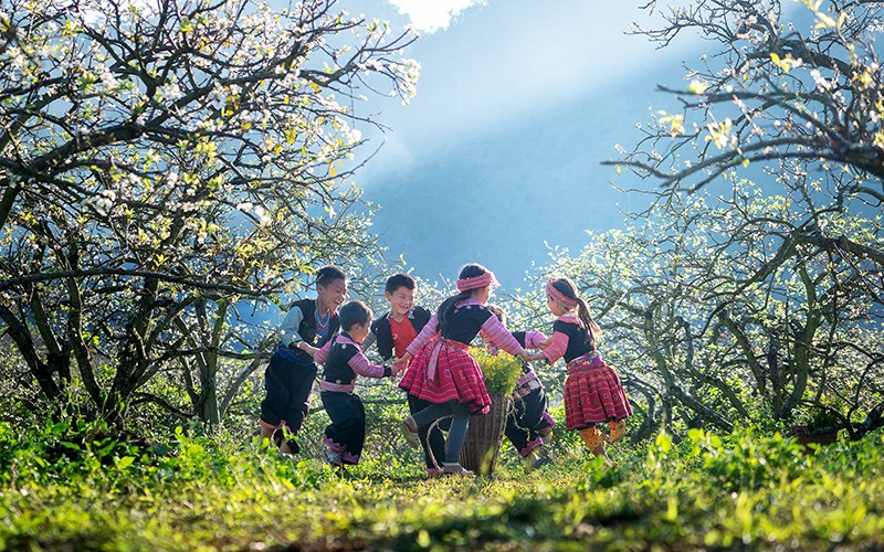  Mùa hoa Vân Hồ 