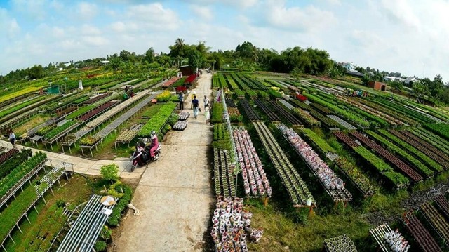  Sắc hoa bên dòng Sa Giang 